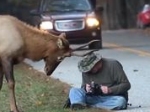jelen_elk_youtube_apark_viral_youtube_13